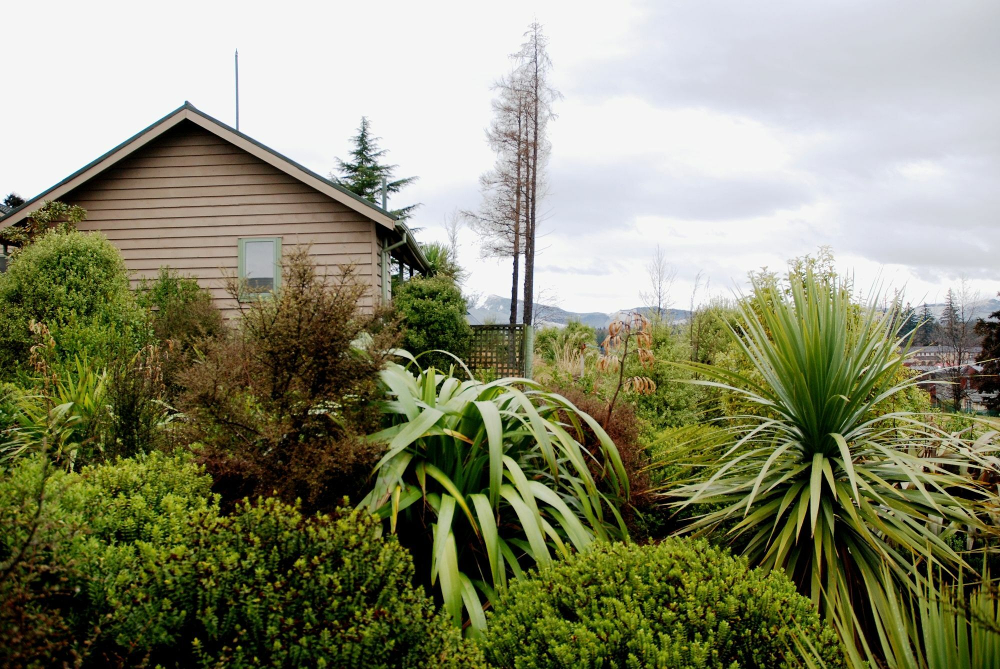 The Chalets Motel Hanmer Springs Ngoại thất bức ảnh